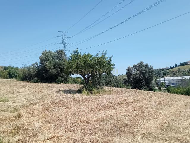 Terreno Rustico Urbanizável S. João dos Montes Alhandra