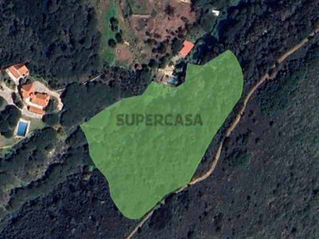 Terreno Rústico Venda em Colares,Sintra