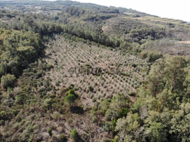Terreno Rústico Venda em Castelo de Penalva,Penalva do Castelo