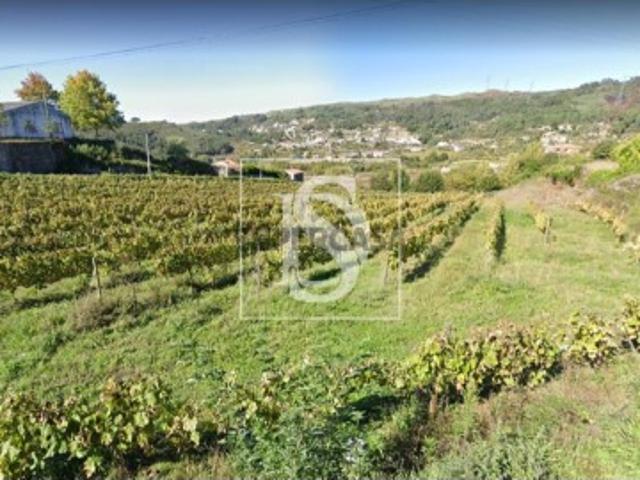 Terreno Rústico Venda em Gove,Baião