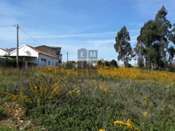 Terreno Rústico Venda em Eixo e Eirol,Aveiro