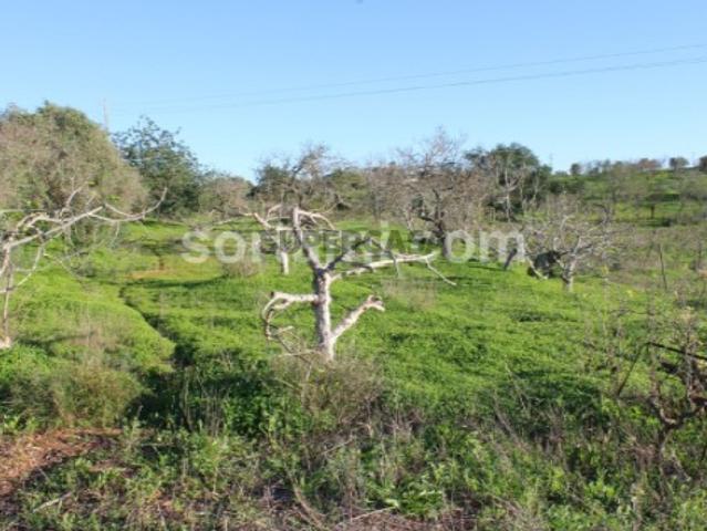 Terreno Rústico Venda em Estômbar e Parchal,Lagoa Algarve