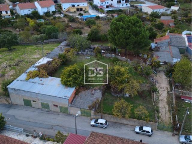 Terreno Rústico Venda em Escalos de Baixo e Mata,Castelo Branco