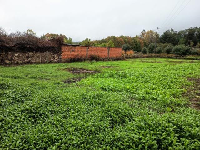 Terreno Rústico Venda em Mortágua, Vale de Remígio, Cortegaça e Almaça,Mortágua