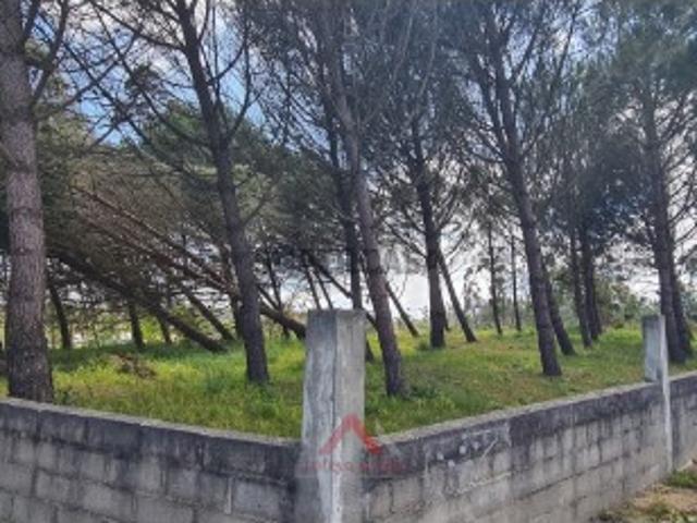 Terreno / Quintinha Maceirinha
