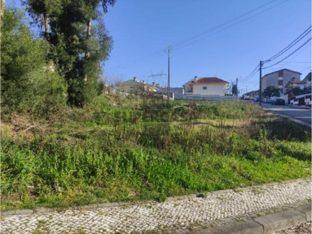 Terreno Rústico Venda em Macieira de Sarnes,Oliveira de Azeméis