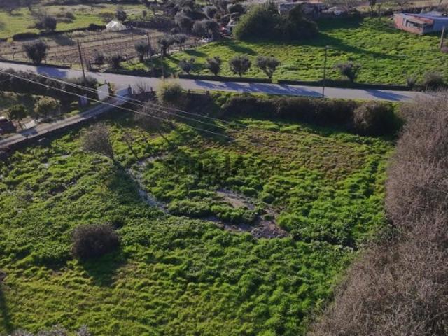 Terreno Rústico Venda em Mangualde, Mesquitela e Cunha Alta,Mangualde