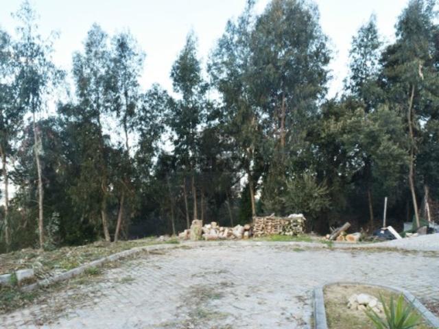 Terreno Rústico Venda em São Miguel do Souto e Mosteirô,Santa Maria da Feira