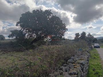 Terreno Rústico Venda em Santo António das Areias,Marvão