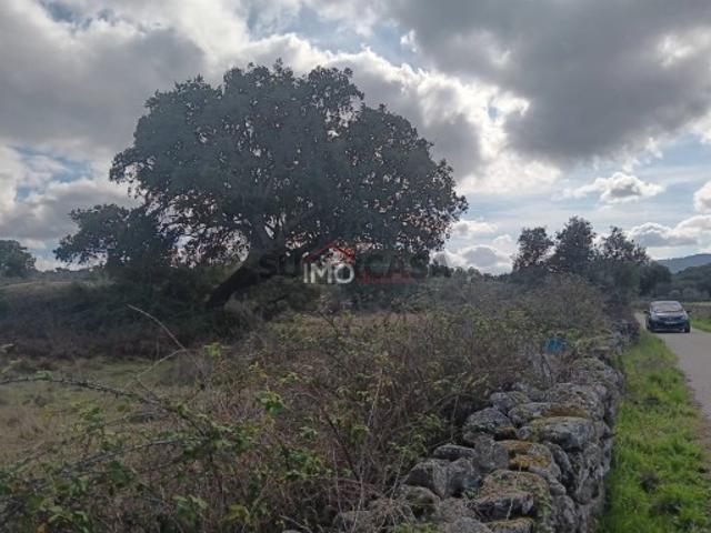Terreno Rústico Venda em Santo António das Areias,Marvão
