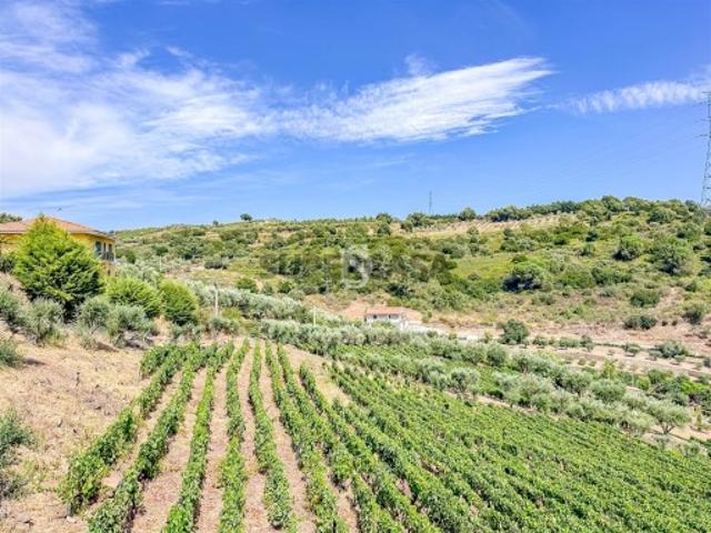 Terreno Rústico Venda em Poiares e Canelas,Peso da Régua