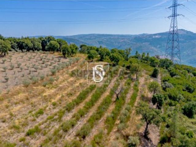 Terreno Rústico Venda em Poiares e Canelas,Peso da Régua