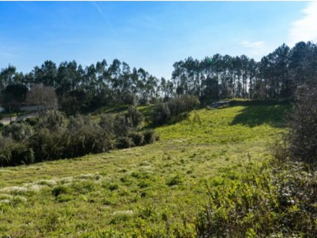 Terreno Rústico Venda em Parceiros e Azoia,Leiria