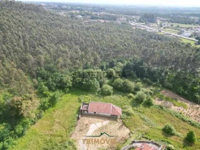 Terreno Rústico Venda em Pinheiro da Bemposta, Travanca e Palmaz,Oliveira de Azeméis