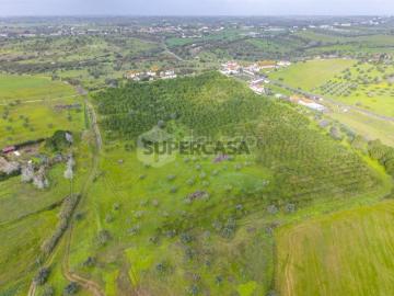 Terreno Rústico Venda em Romeira e Várzea,Santarém