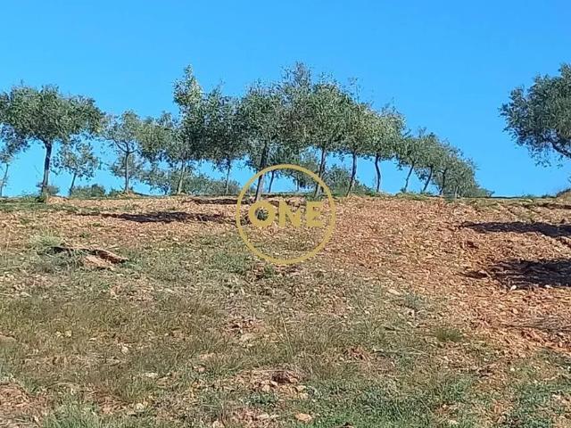 Terreno rústico/agrícola com 1,7 hectares, em Argozelo, Vimioso, Bragança