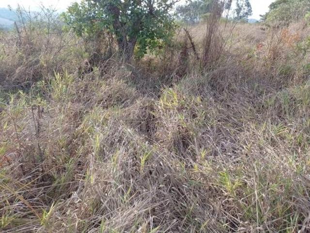 Terreno Rural com 15 Hectares à Venda no Queima Barril 1 Nascente | Andrelândia