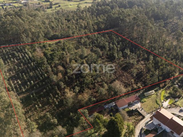 Terreno rural com 22.500 m² em Argoncilhe, Santa Maria da Feira