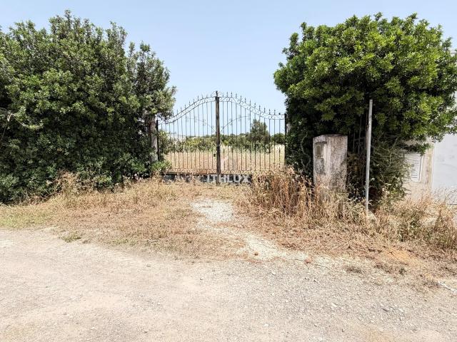 Terreno Rural com Potencial em Olhão
