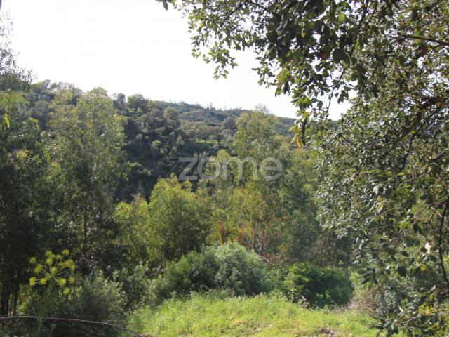 Terreno rural de 5.400 m² – Pontalinhos, Monchique