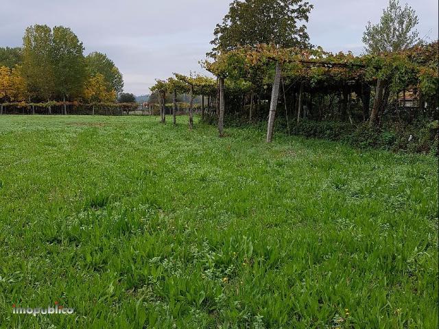 TERRENO RURAL EM RIBEIRA DO NEIVA
