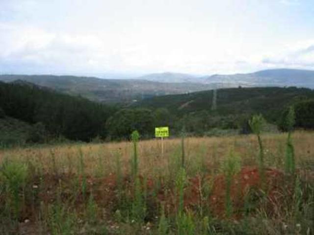Terreno rural en venta. Molinaseca