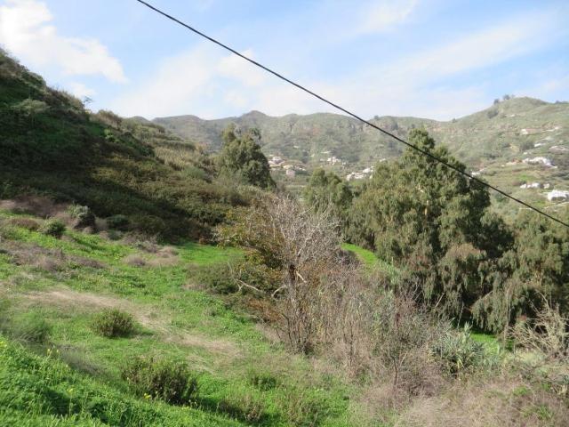 Terreno rural en venta. Teror