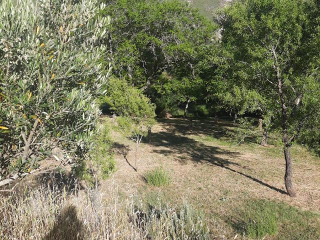 Terreno rural en venta. Valle de Tabladillo