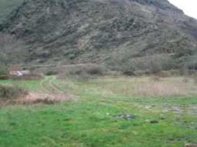 Terreno rural en venta. Vega de Espinareda