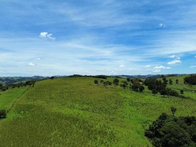 Terreno Rural para Venda em Bueno Brandão