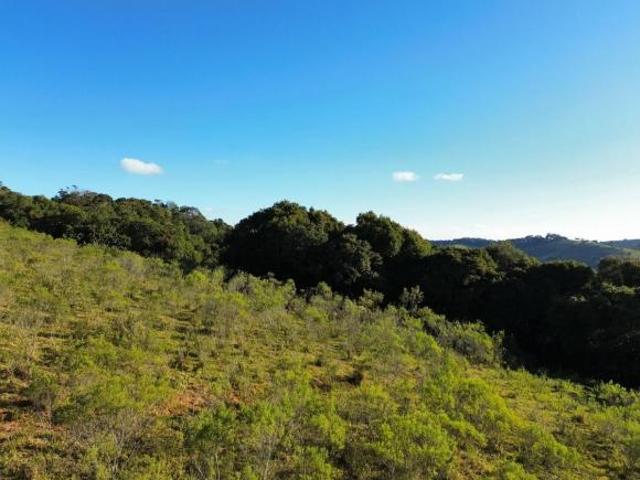 Terreno Rural para Venda em Bueno Brandão