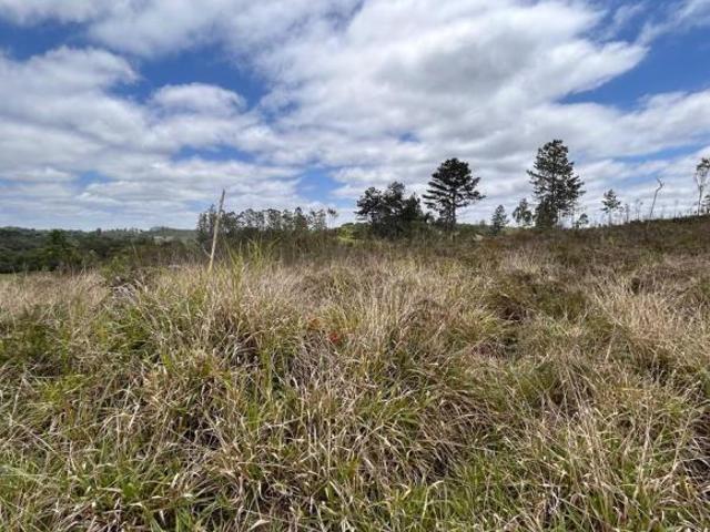 Terreno Rural para Venda em Salesópolis, Alegre