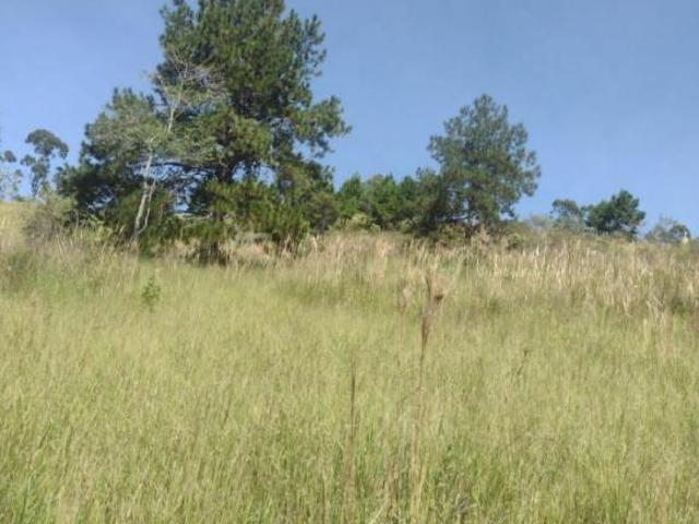 Terreno Rural para Venda em Salesópolis, Lagoinha