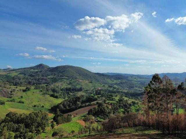 Terreno Rural para Venda em Toledo, Área Rural