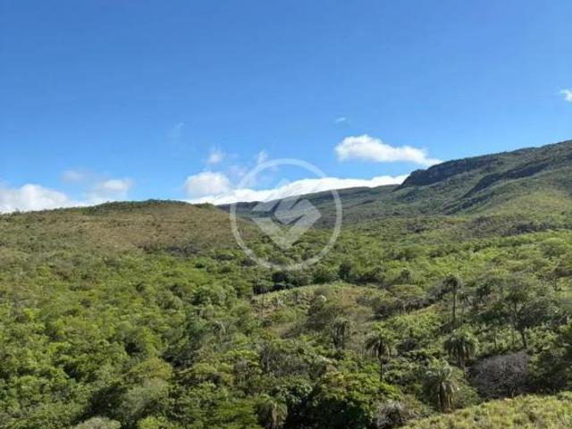 Terreno Rural Sendo 24 Hectares a Venda Santana do Riacho