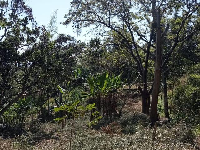 TERRENO RURAL UBICADO 5 MINUTOS DE TEOCELO