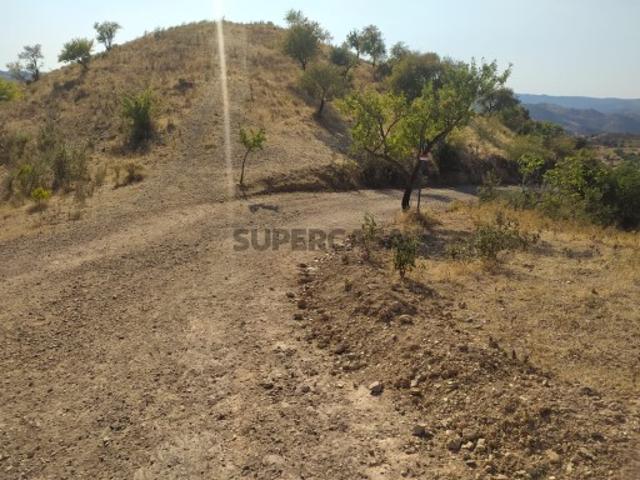 TERRENO RÚTICO,6560 m2 COM EXELENTE POTENCIAL NA SERRA ALGARVIA