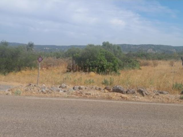 Terreno Rústico com 94 630 m2, Querença, Loulé