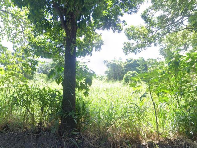 Terreno r?stico