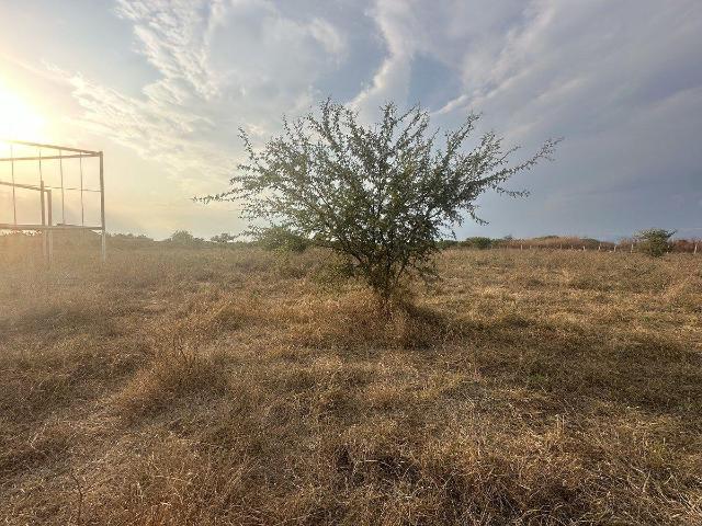 Terreno r?stico en venta en Xoxocotla, municipio de Puente Ixtla, Morelos