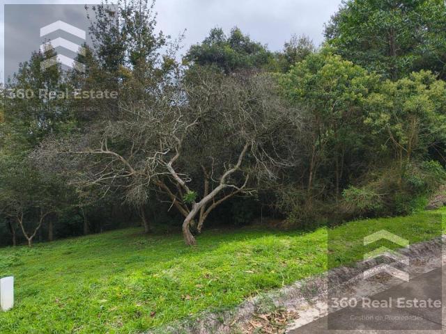 Terreno Rancho Viejo