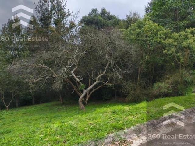 Terreno Rancho Viejo