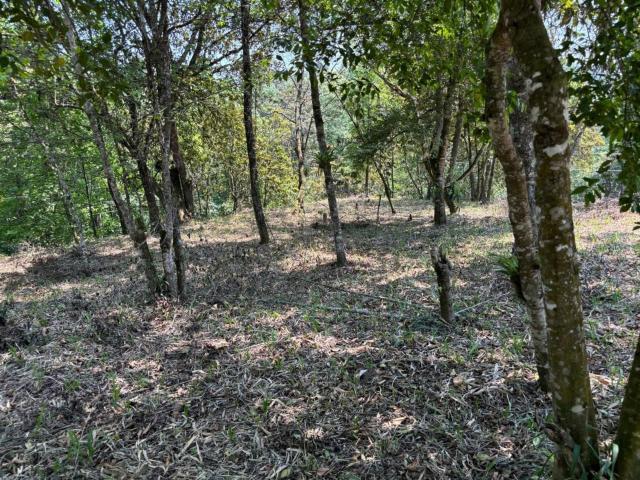 Terreno Rancho Viejo