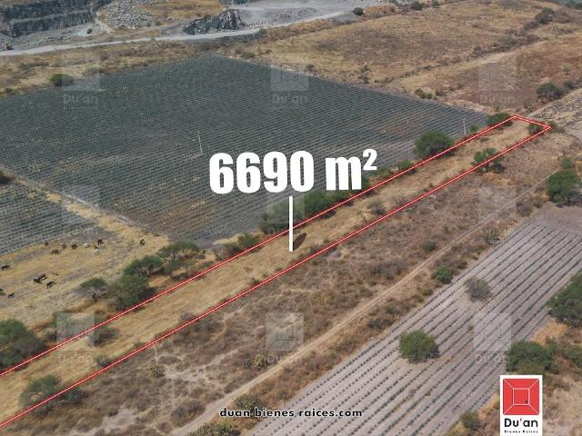 TERRENO RANCHO GRANDE 6,690 M?
