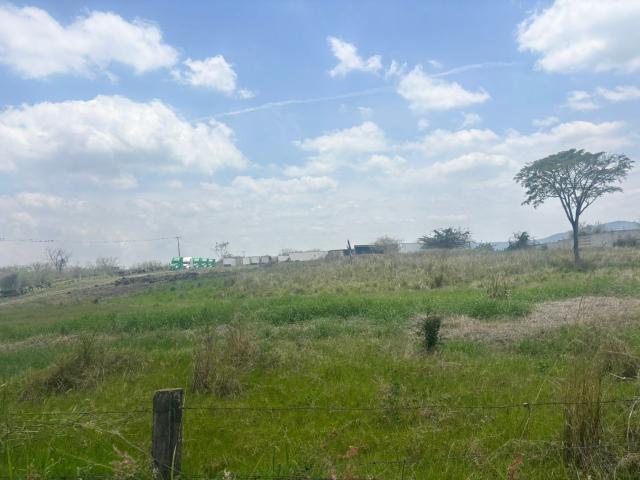 Terreno Rancho o rancheria Corral Falso