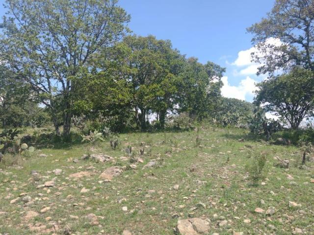 Terreno Rancho o rancheria Loma Linda
