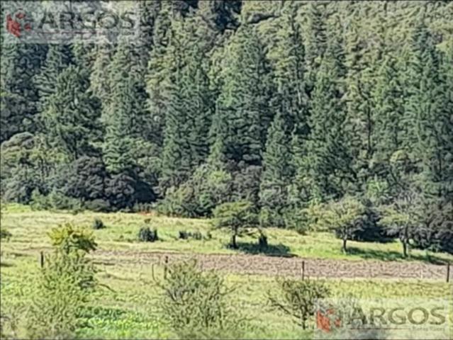 Terreno Rancho o rancheria Mesa de las Tablas
