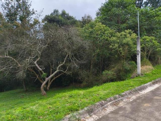 Terreno Rancho o rancheria Rancho Viejo