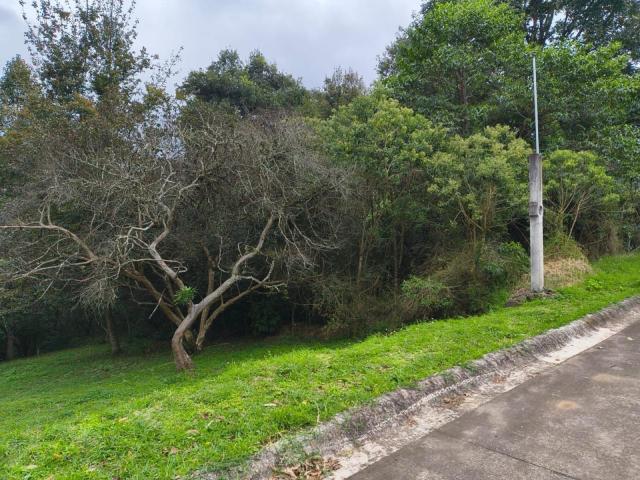Terreno Rancho o rancheria Rancho Viejo