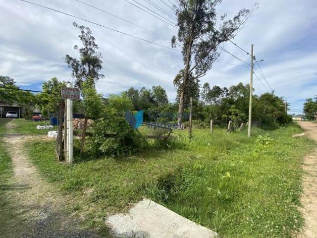 Terreno regularizado no Lami